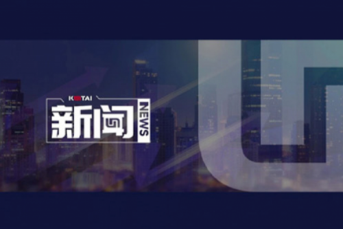 AI驱动新增长，扣非净利提升10%，suncitygroup太阳集团数码2025一季度稳健开局
